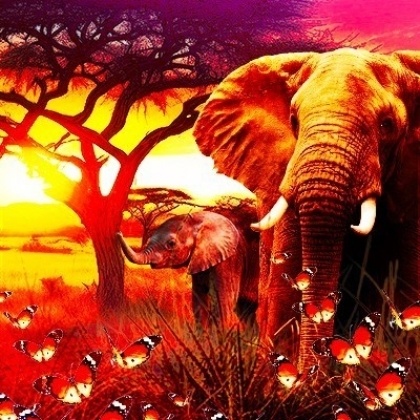 【昨年人気だったケニアの新クロップ登場】カンゴチョの明るい果実感