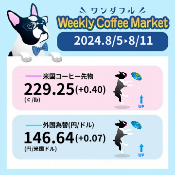 先週のコーヒーマーケットチャート (2024-08-05 〜 2024-08-11)