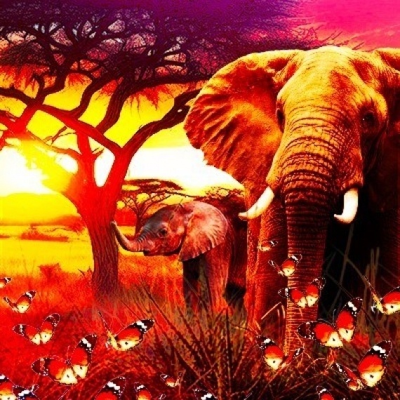 【昨年人気だったケニアの新クロップ登場】カンゴチョの明るい果実感